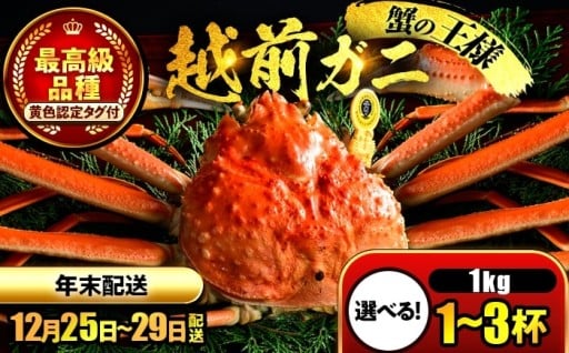 ＼ズワイガニの王者／【先行予約】越前がに 1kg