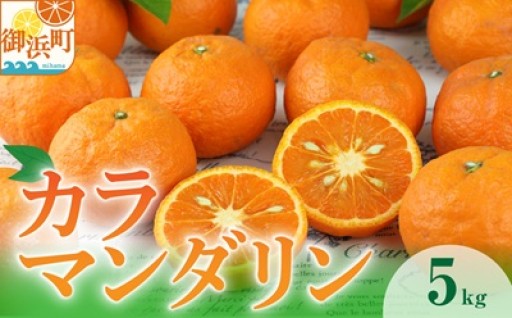 【濃厚な甘みの春みかん🧡🍊】JAのカラマンダリン5キロ