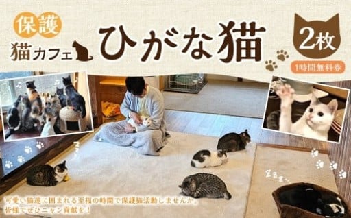 保護猫カフェひがな猫 1時間無料券 2枚