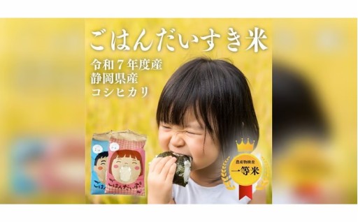 【令和7年産】静岡県産コシヒカリ 精米 5kg （5kg×1袋）