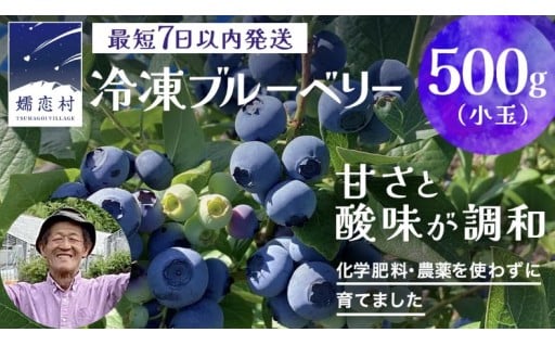 数量限定！冷凍 ブルーベリー 小玉 500g