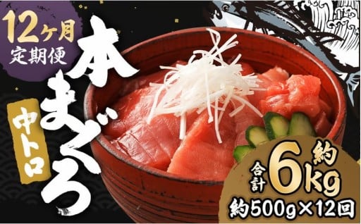 【12ヶ月定期便】 長崎県産 本マグロ「中トロ」約500g