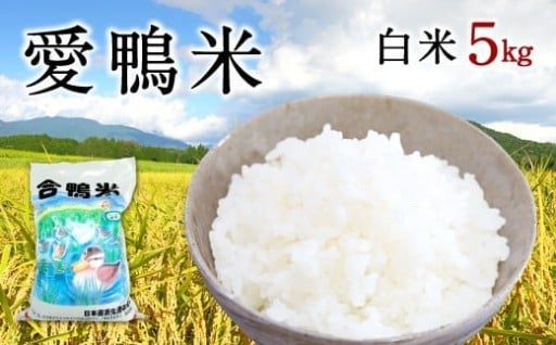 〈令和7年産〉愛鴨米 白米 5kg