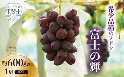 令和8年発送 富士の輝　1房600g以上