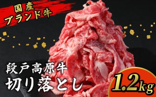 【1月発送限定 特別規格】国産ブランド牛切り落とし