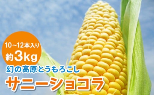 【チョイス新登場★】幻の高原とうもろこし