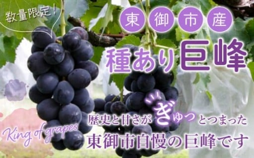 人気の「巨峰」の先行予約が開始！