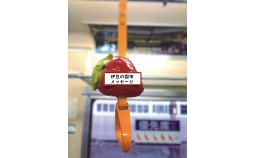 伊豆箱根鉄道駿豆線 オリジナルデザインつり革掲出プラン（14日間）