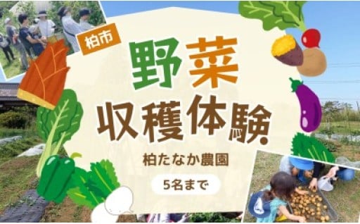 身近に農業体験ができます