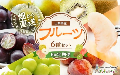 【先行受付】【6回定期便】 フルーツ王国 山梨県産 6種セット