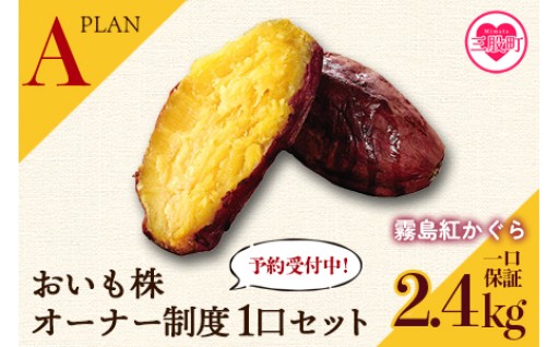 先行予約受付開始！【期間限定】＜【Ａ】おいも株オーナー制度1口セット2株 霧島紅かぐら（最低2.4kg保証）