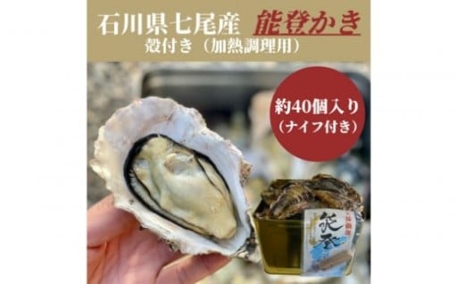 【七尾市】石川県七尾産　能登かき　殻付き　半缶（約40個）
