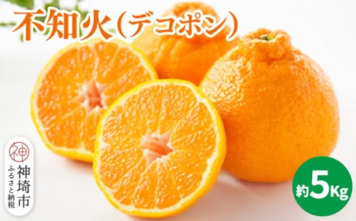 2026年1月中旬～発送開始！デコポン約5kg🍊