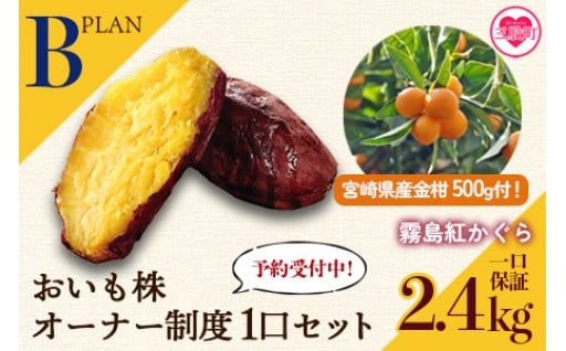 先行予約受付中！＜【Ｂ】おいも株オーナー制度1口セット2株 霧島紅かぐら（最低2.4kg保証）＋特産品＞