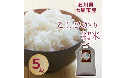 【令和7年産】石川県七尾市産 コシヒカリ 精米 5Kg