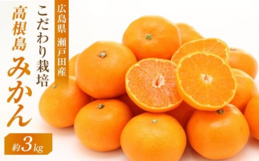 こだわり栽培　高根島みかん 3kg ＜2025年11月下旬より発送開始＞