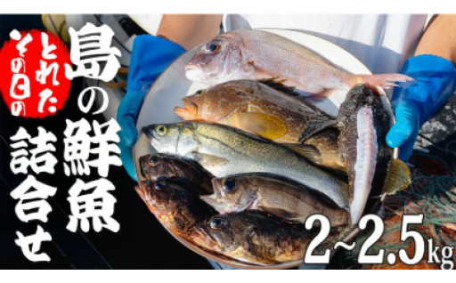 ＼採れたて！鮮魚の詰め合わせ🐟／