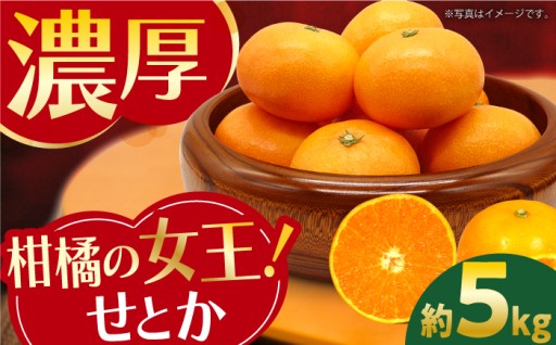 香りや食感、いい所どりの人気品種♪「せとか」