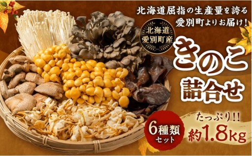 きのこ詰合せ （6種類） セット