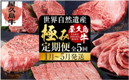 【定期便 全5回】【屋久島牛】世界自然遺産極み定期便＜1月～5月発送＞