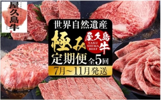 【定期便 全5回】【屋久島牛】世界自然遺産極み定期便＜7月～11月発送＞
