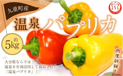 大分県九重町産 温泉パプリカ 5kg