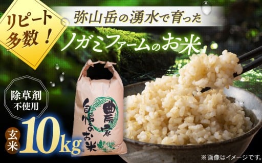 【令和7年産玄米】ノガミファームのお米10kg