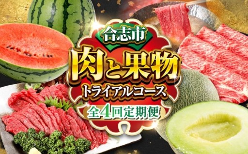 【先行予約 合志市厳選全4回】肉と果物定期便トライアルコース