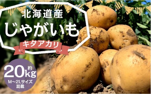 北海道産 じゃがいも キタアカリ M～2Lサイズ混載 約20kg 1箱