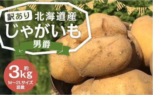 【訳あり】 北海道産 じゃがいも （男爵） 約3kg