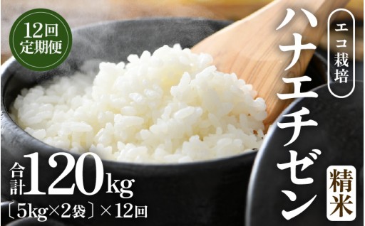 【先行予約】エコ栽培🌱こだわり高品質米の定期便🍚