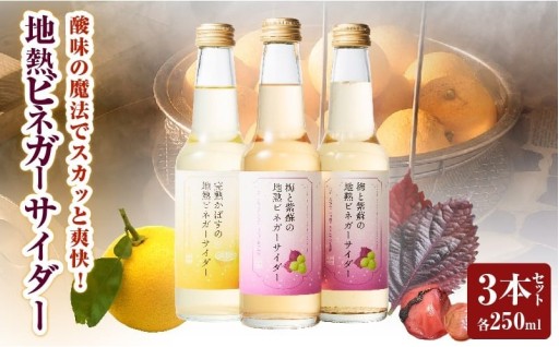 温泉を活用して熟成させたビネガーに相性が良い濃度の炭酸水を配合したサイダー！