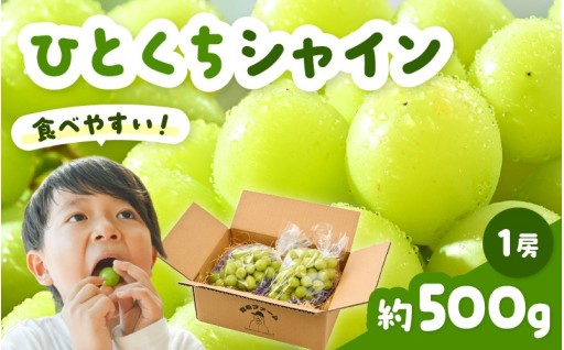 【厳選】パクッと皮ごと✨ひとくちで幸せひろがる😊