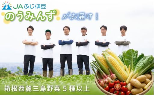 【予約受付中】 のうみんず 野菜詰め合わせ 5種以上をお届け！