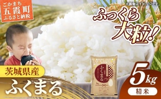 【茨城県産オリジナル品種！】令和7年産 茨城県産 ふくまる 5kg