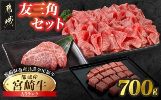 都城市より～【共進会牛】(A5)宮崎牛友三角セット