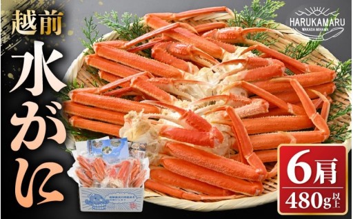 【希少】最も美味しい蟹を厳選✨漁期わずか1ヶ月！