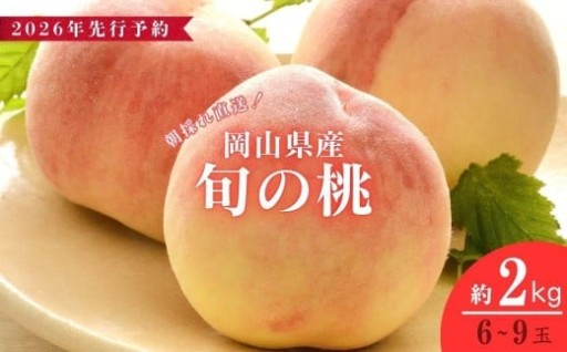 【数量限定・先行予約】旬の朝採れ桃を、フルーツ王国岡山から直送！