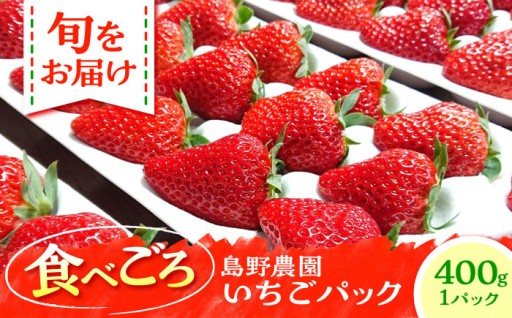 【先行予約】【数量限定】島野農園のいちご（400g×1パック） 紅ほっぺ ほしうらら スターナイト 