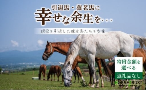 【寄附額が選べる】引退競走馬に余生支援を！