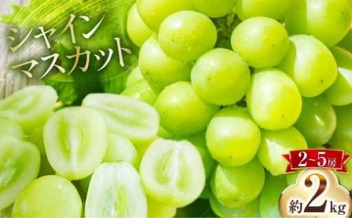 自然の恵みを味わう！南島原産シャインマスカット