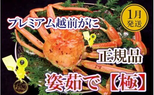 【最高ブランド】越前がにの本場からお届け！極🦀✨