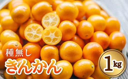 先行予約 きんかん 種なし 約1kg 期間限定