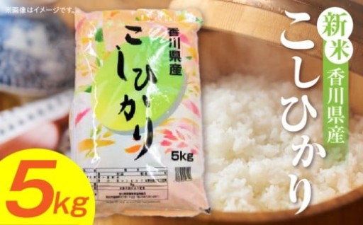 🍙【令和7年産】香川県産こしひかり 5kg（紙袋配送）🍙
