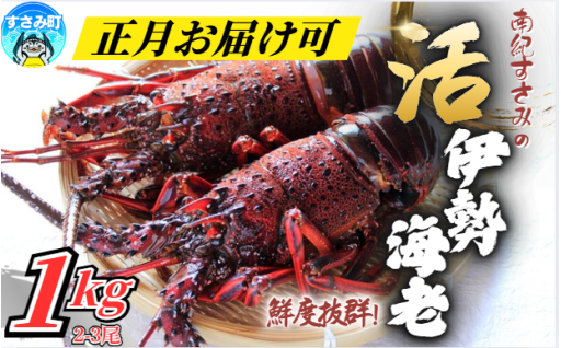 本日中ご寄附で「正月伊勢海老」可能です！！🦐