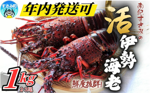 本日中ご寄附で「年越し伊勢海老」可能です！！