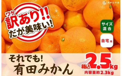 訳あり それでも 有田みかん 箱込 2.5kg (内容量約 2.3kg) 