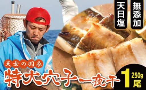 ✨🐟ふっくら肉厚、皮は香ばしく。島根の一日漁仕立て。特大あなご一夜干し1尾 250g「天女の羽衣」🐟✨