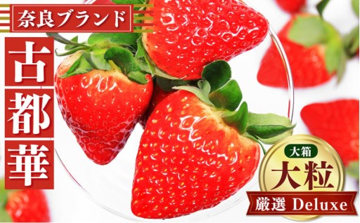 奈良 いちご「 古都華 ～ ことか ～」 大箱 