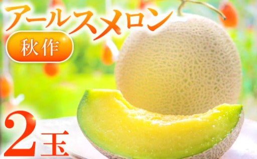 秋に味わう、香り立つご褒美メロン。益田産アールスメロン（秋作）2玉🍈✨